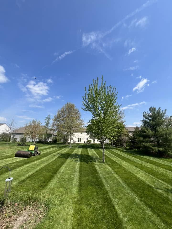 Fresh-Cut Lawn Care