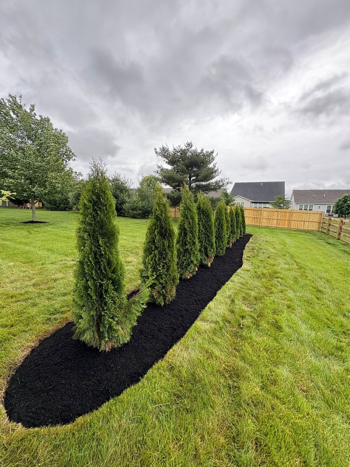 Privacy Plantings & Beds