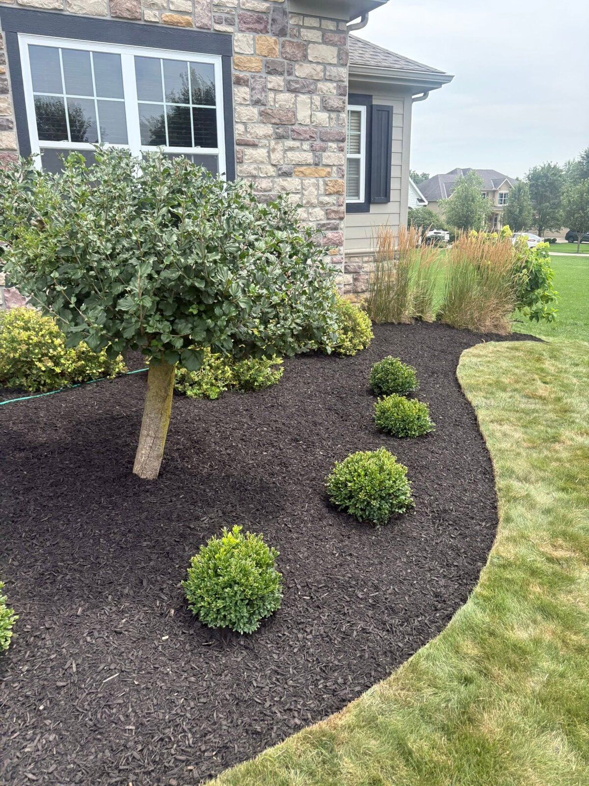 Landscape & Yard Design